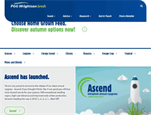 Tablet Screenshot of pggwrightsonseeds.com.au